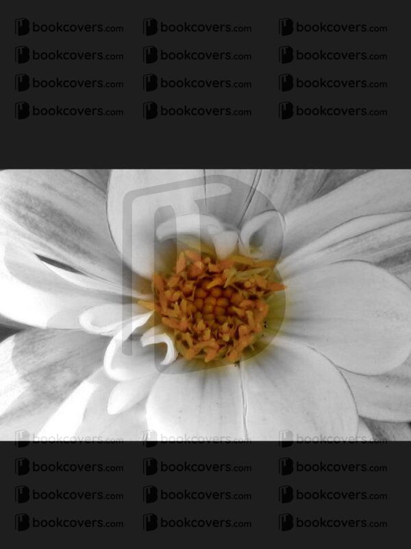 zw_designs_26148845