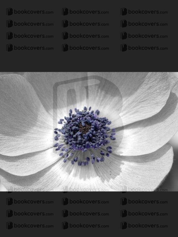 zw_designs_26148876