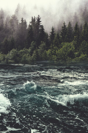 novalarty_26144925