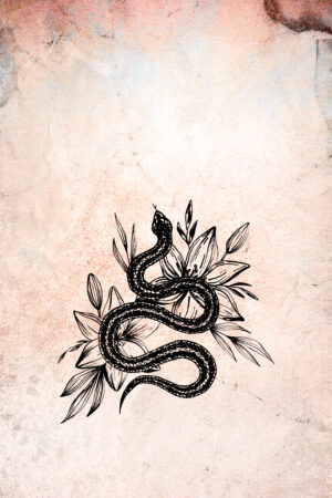 coverdesigner-net_26135506