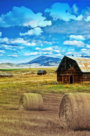 rlsather_26144594