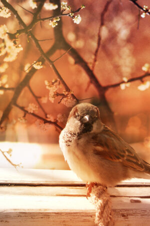 rlsather_26151864