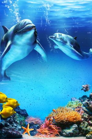 rlsather_26154404