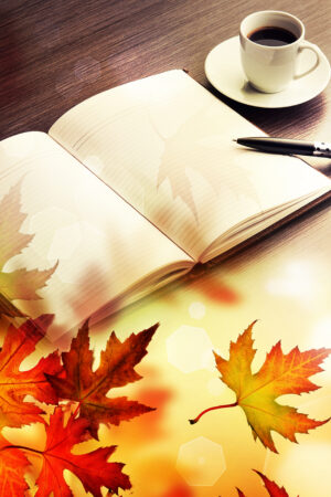 rlsather_26157050