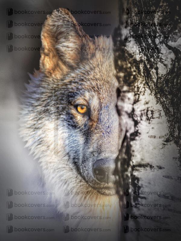 rlsather_26158057