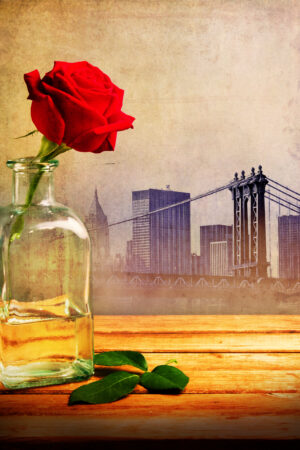 rlsather_26143613
