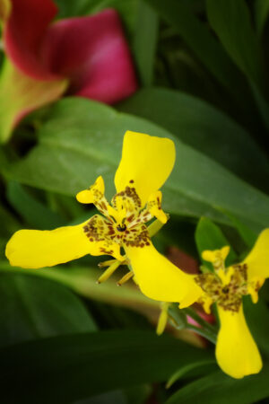 rlsather_26149483