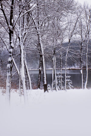 rlsather_26152258
