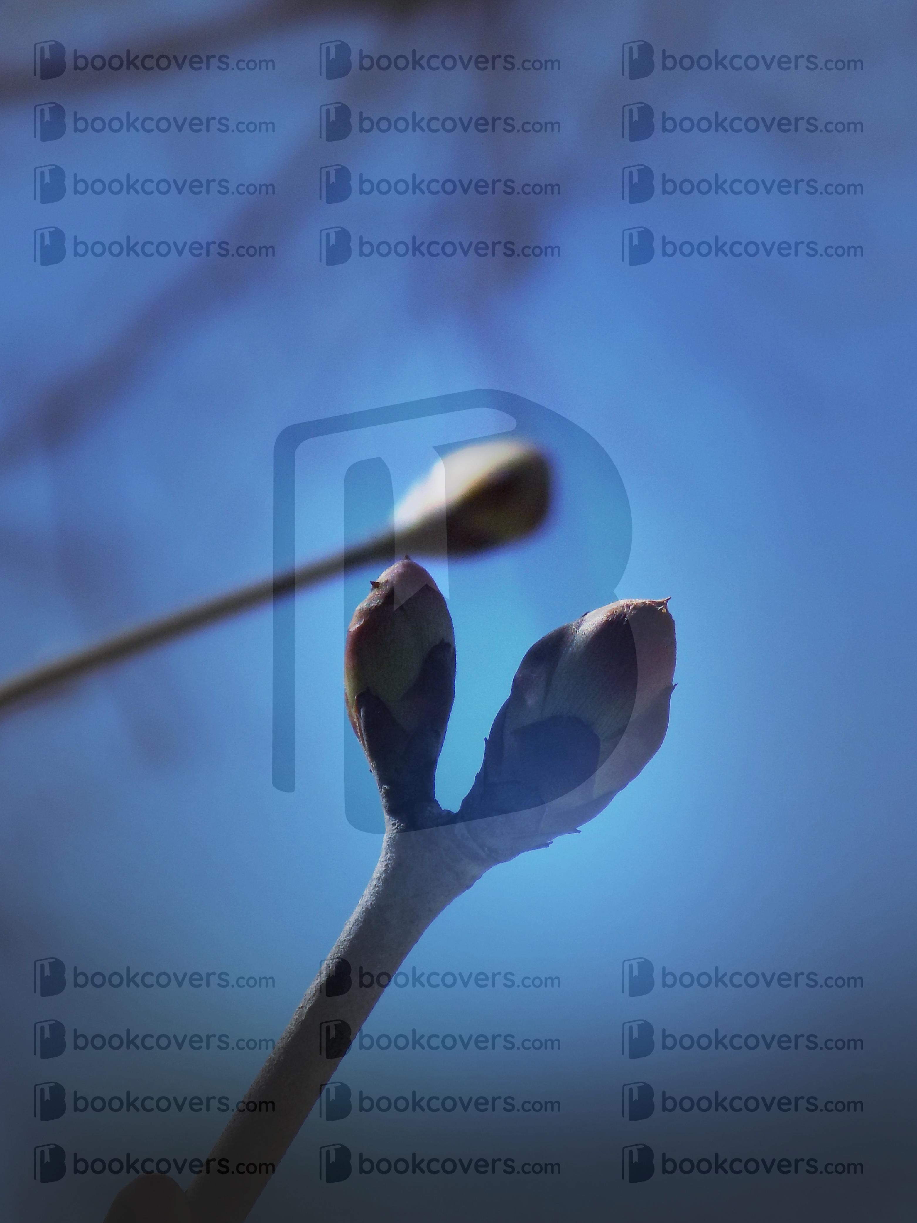 rlsather_26151698