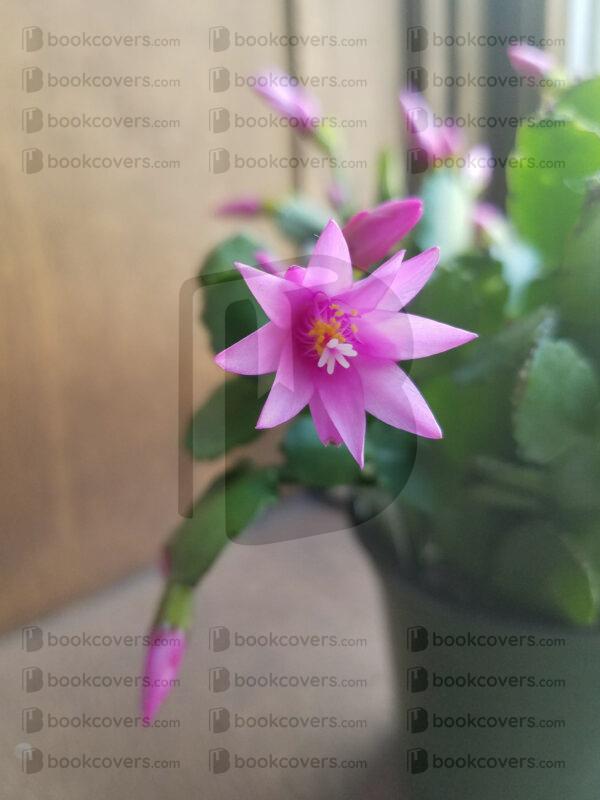 rlsather_26153550