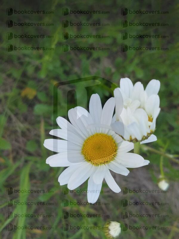 rlsather_26154842