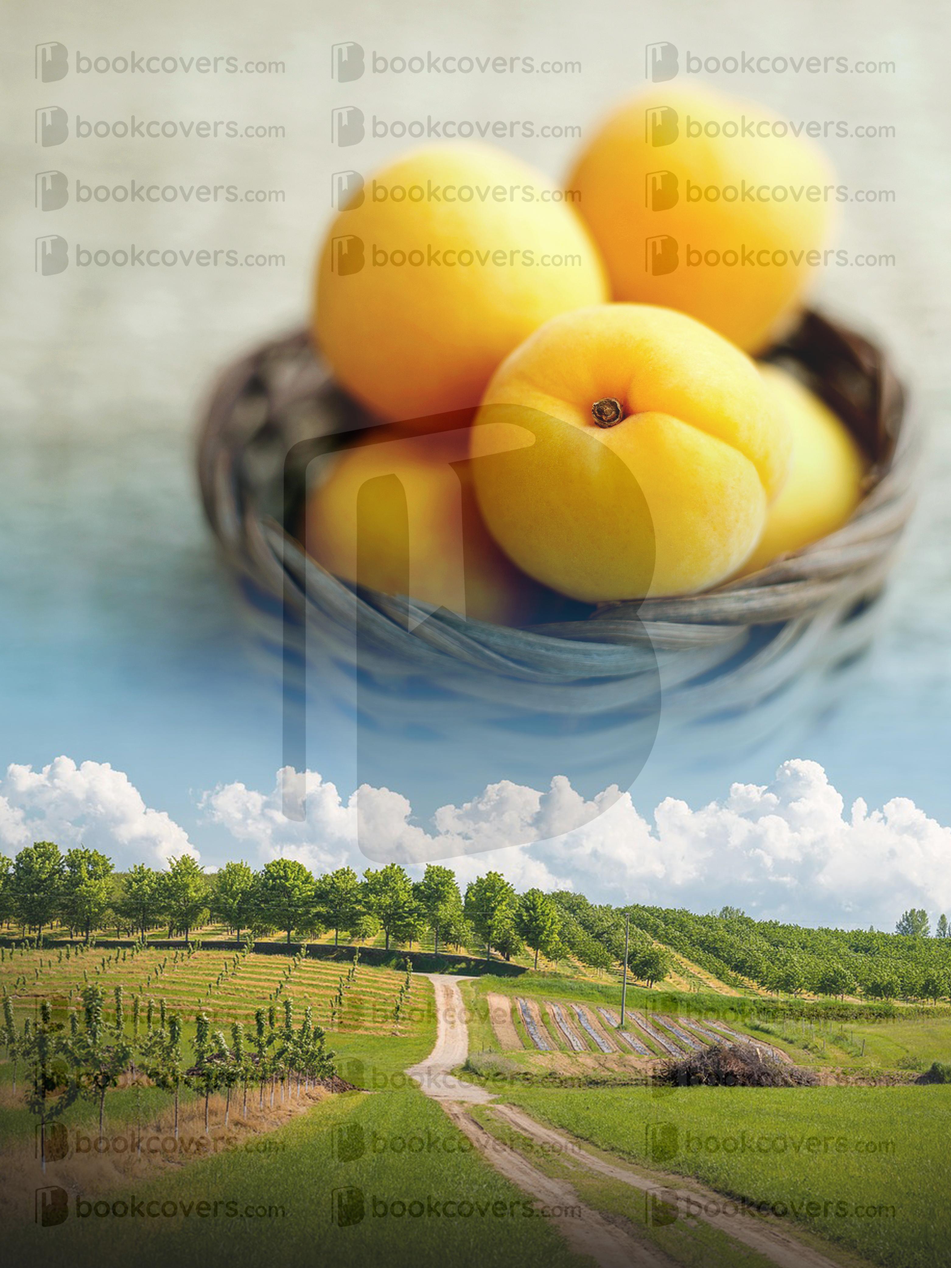 rlsather_26155724