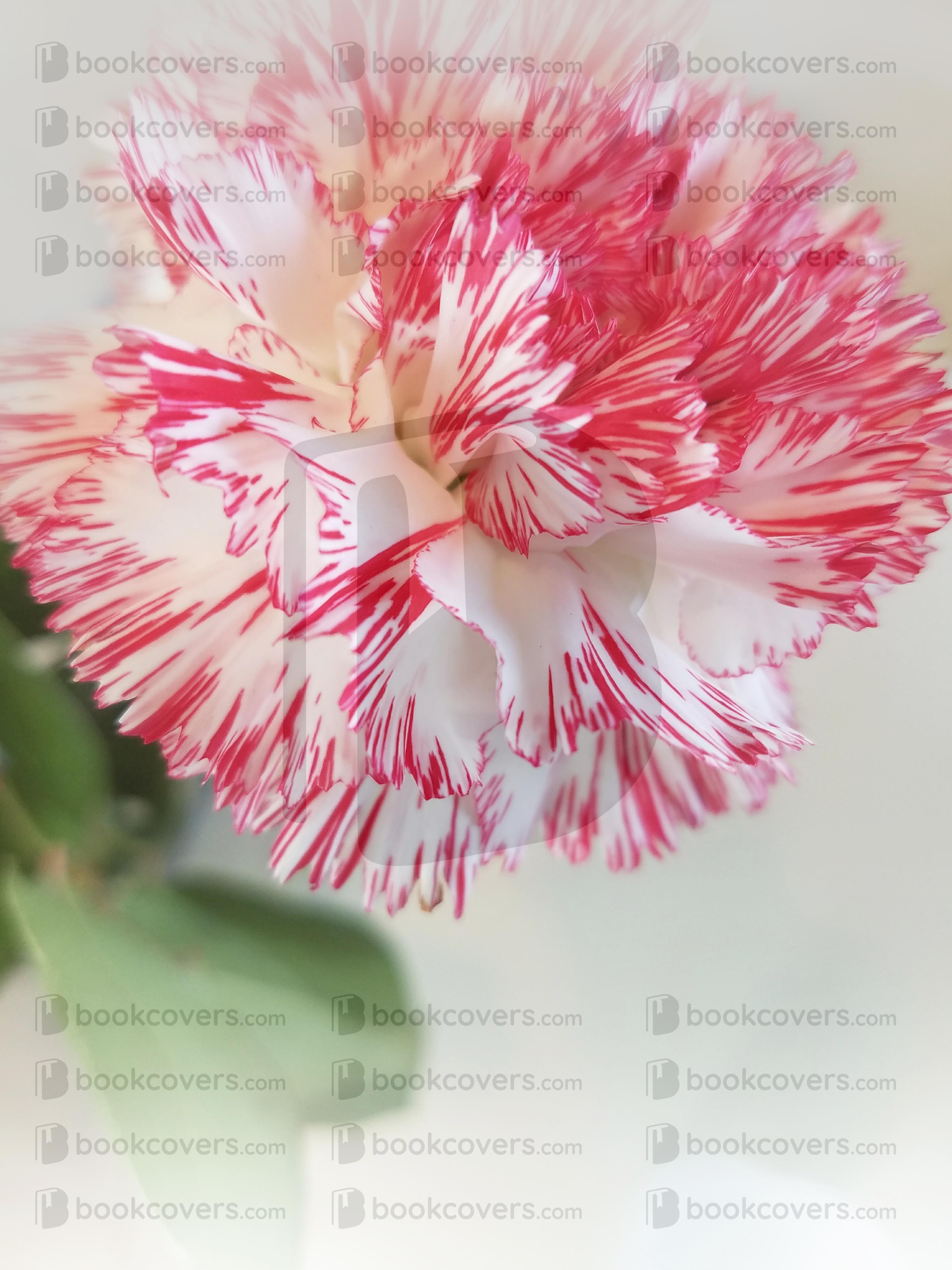 rlsather_26156295