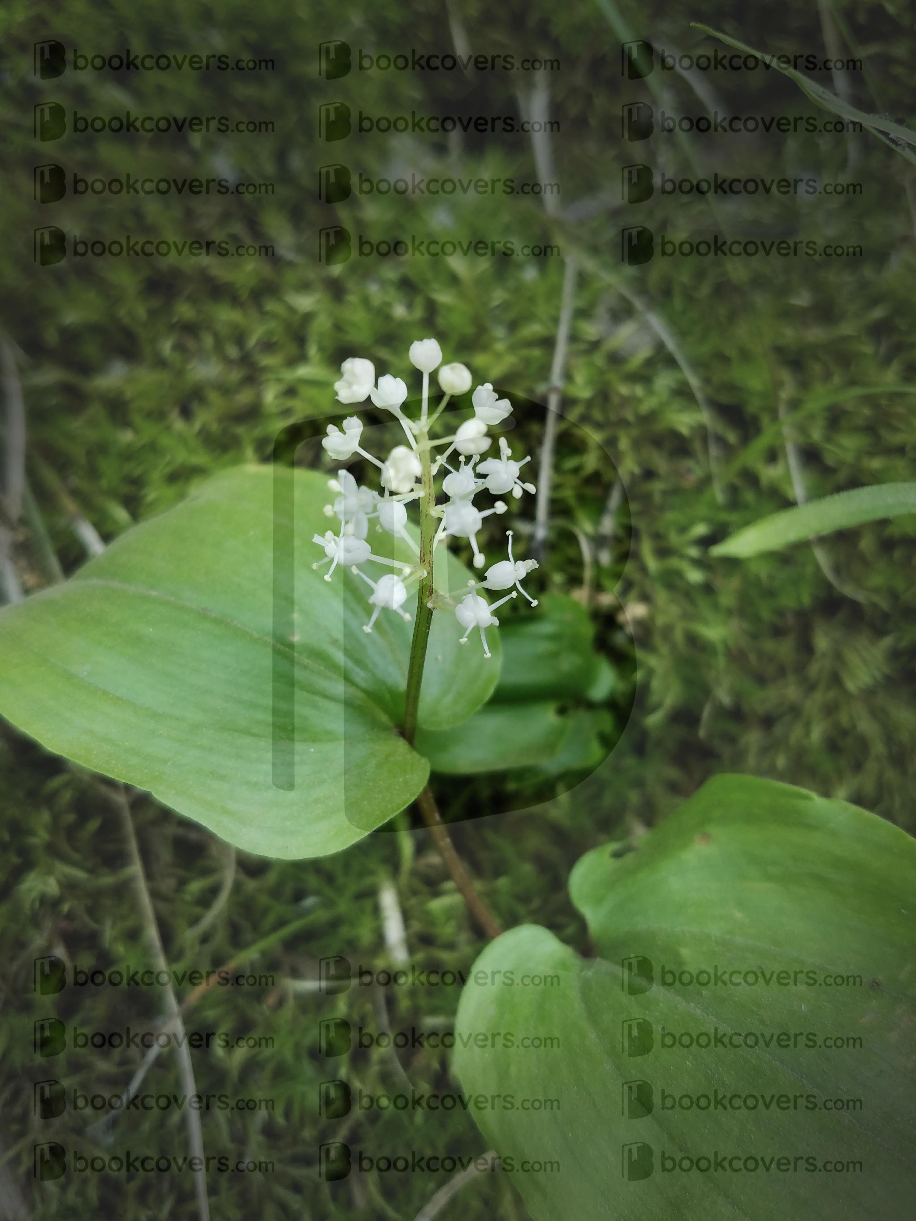 rlsather_26157126