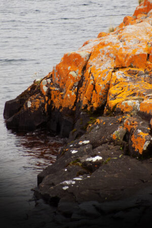 rlsather_26157202