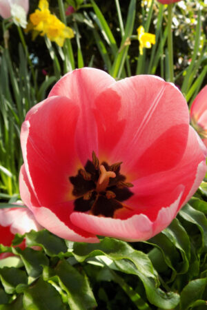 rlsather_26159245