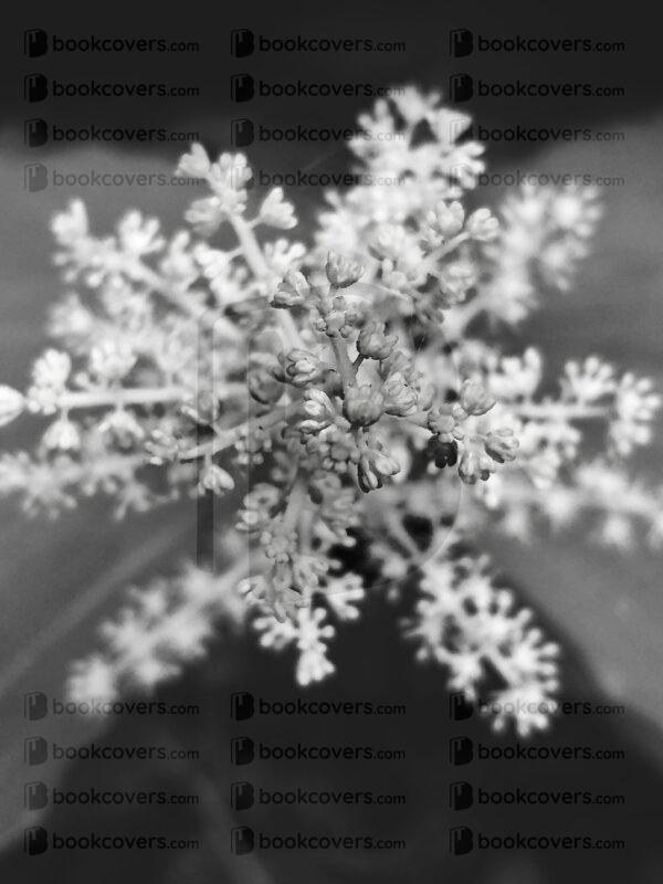 rlsather_26152376