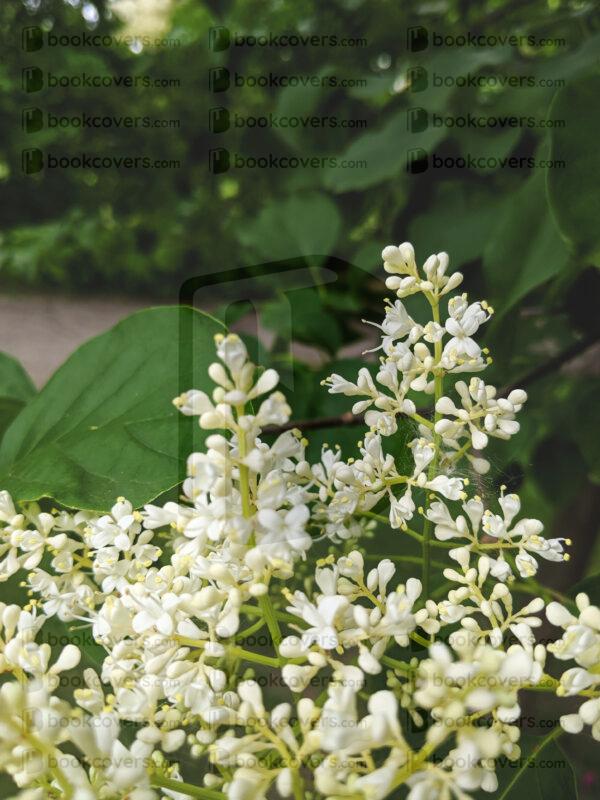 rlsather_26159049