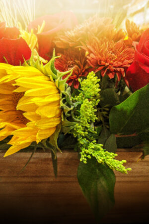 rlsather_26144867