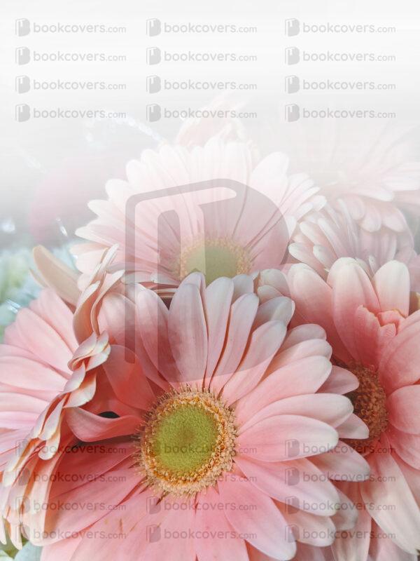 rlsather_26149907