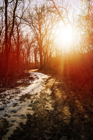 rlsather_26150441
