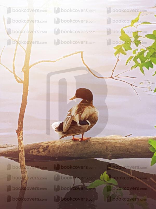 rlsather_26151891