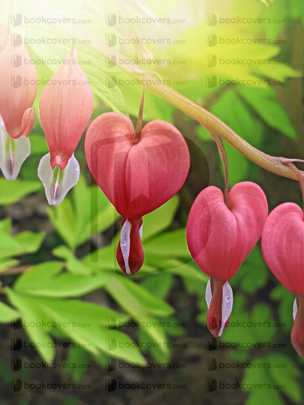 rlsather_26155593
