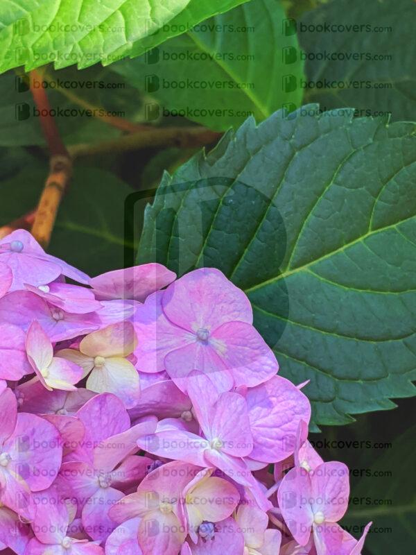 rlsather_26156121
