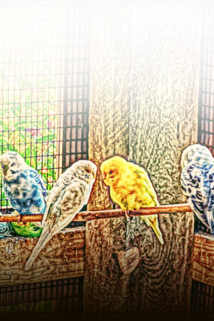 rlsather_26157709