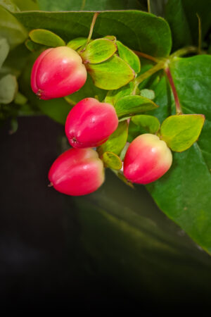 rlsather_26159474