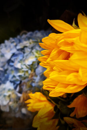 rlsather_26162852