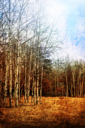 rlsather_26163011