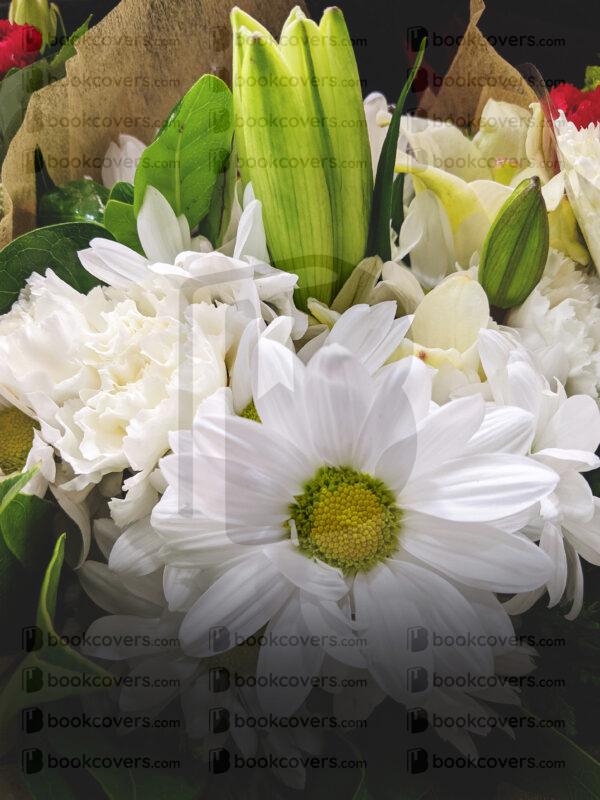 rlsather_26145309
