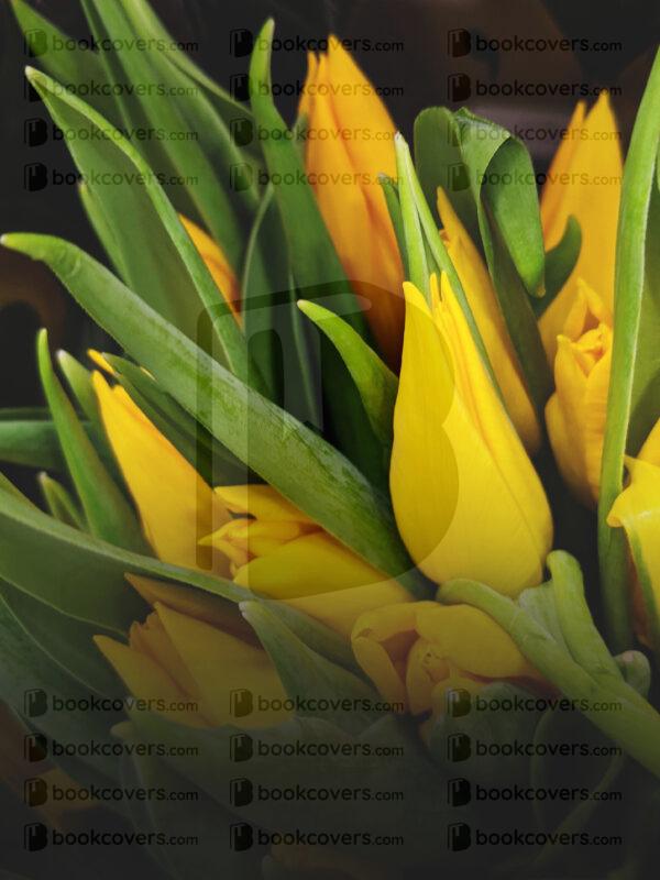 rlsather_26144465