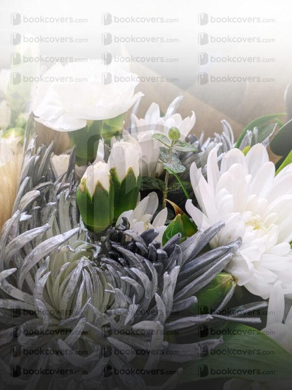 rlsather_26145865