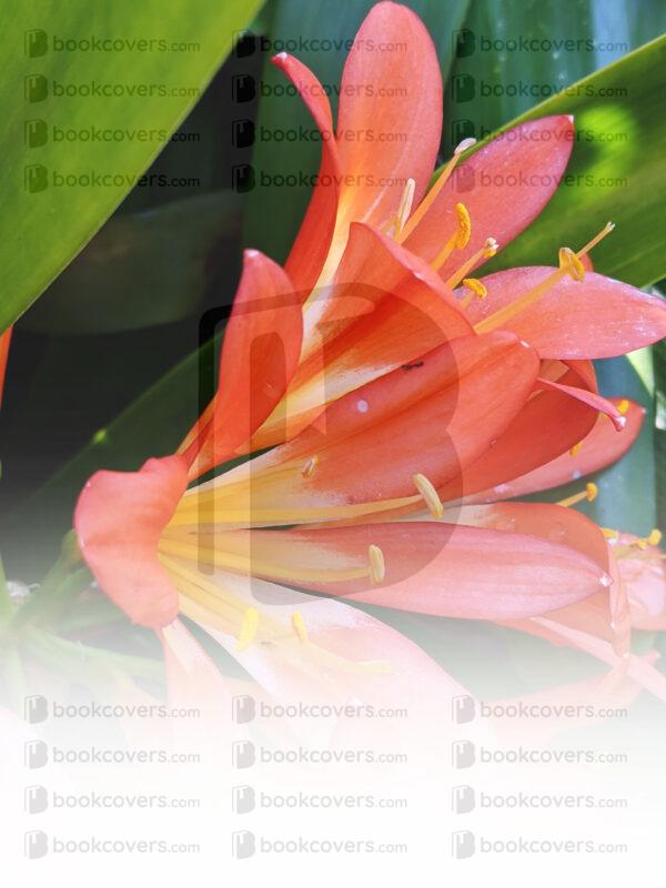 rlsather_26148456