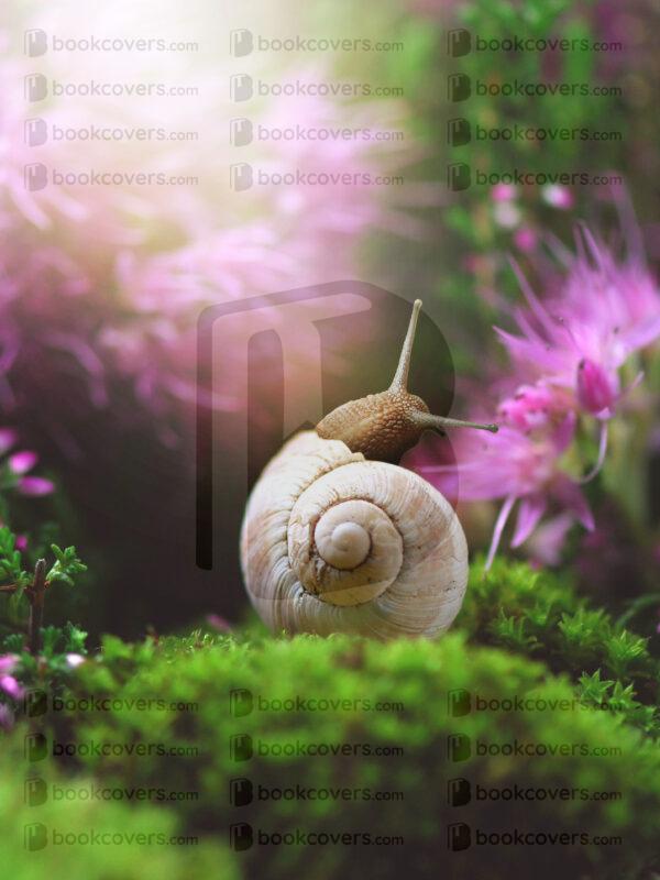 rlsather_26157441