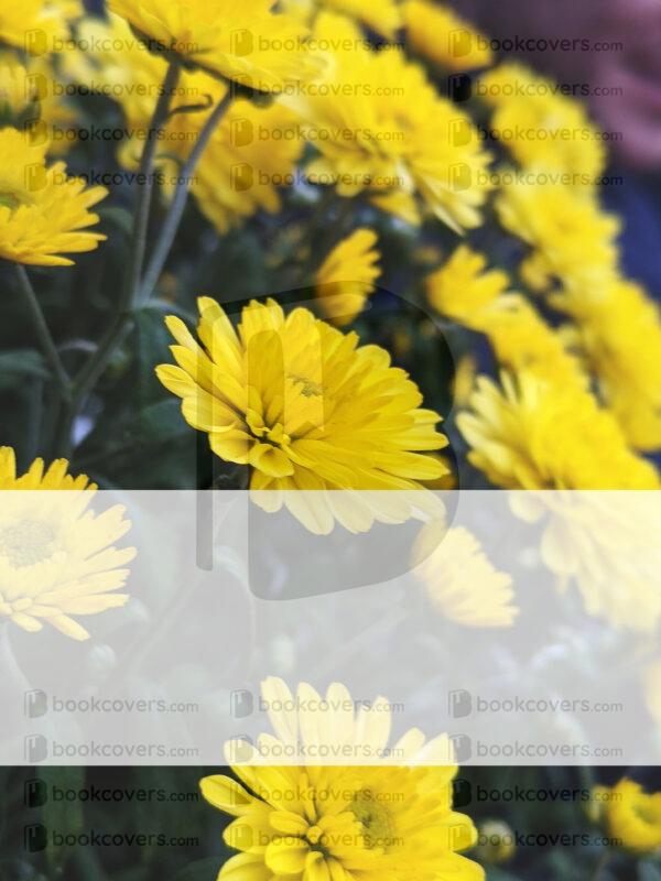 rlsather_26156969