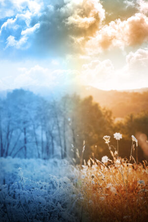 rlsather_26157428