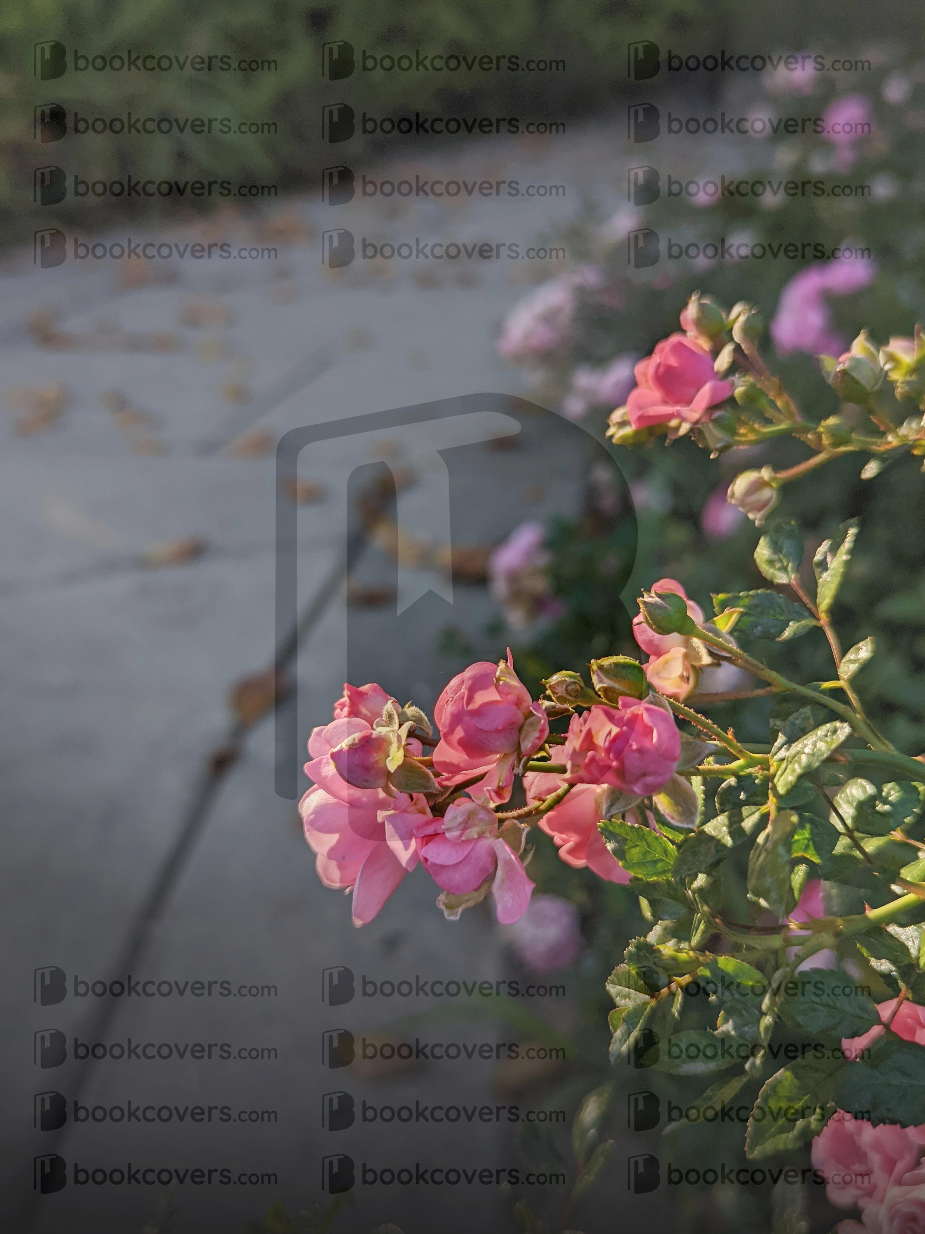 rlsather_26160905
