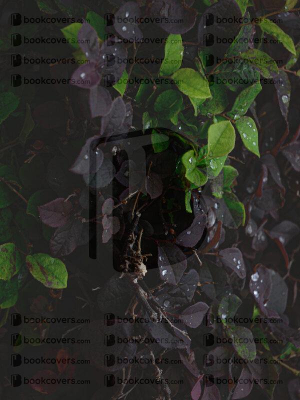 flopez_26200530