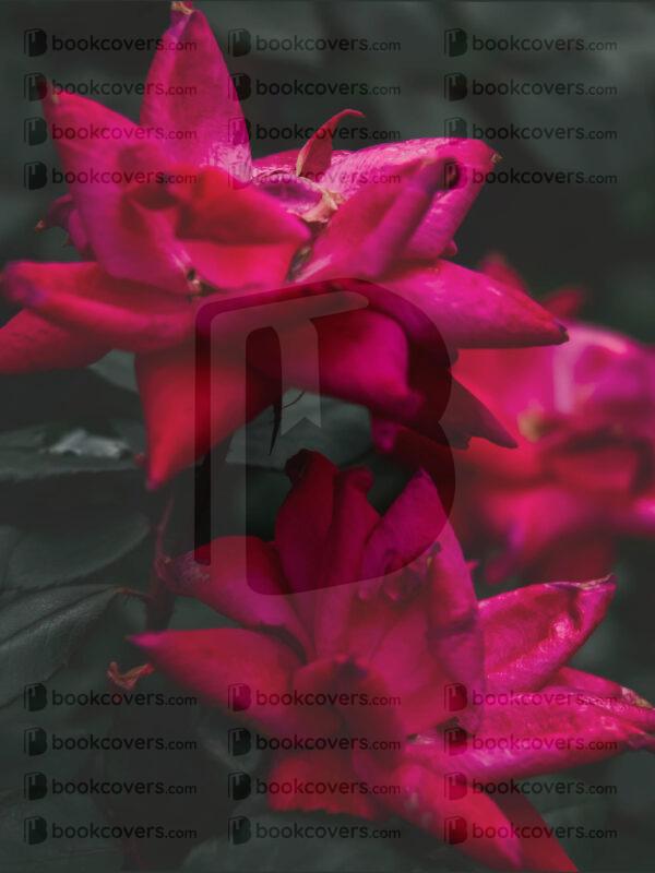 flopez_26200560