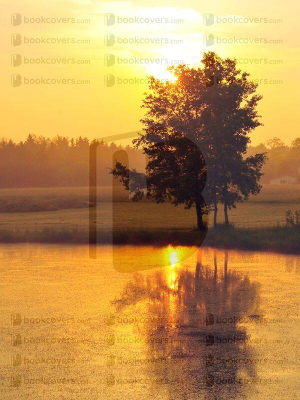 terrigostolaphotography_26160739