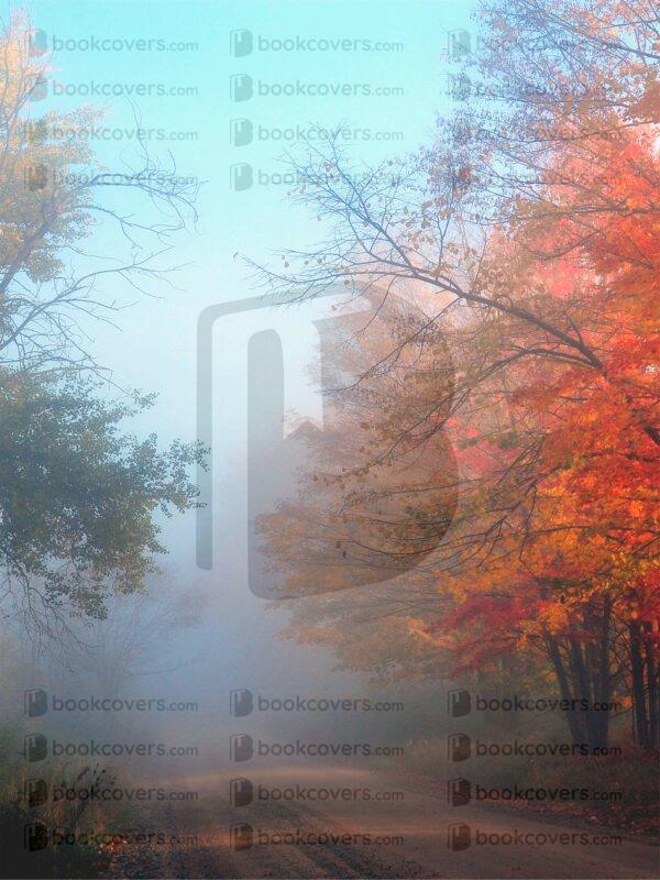 terrigostolaphotography_26161176
