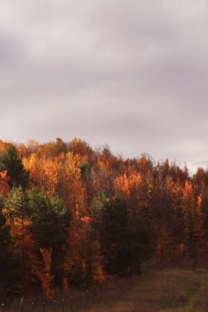 terrigostolaphotography_26161683