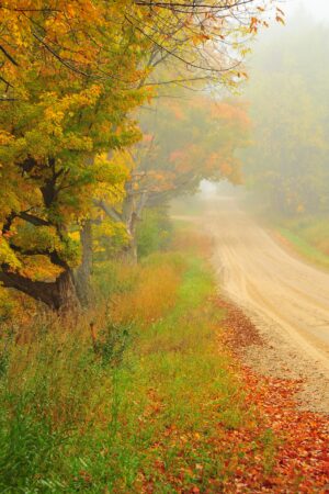 terrigostolaphotography_26161383