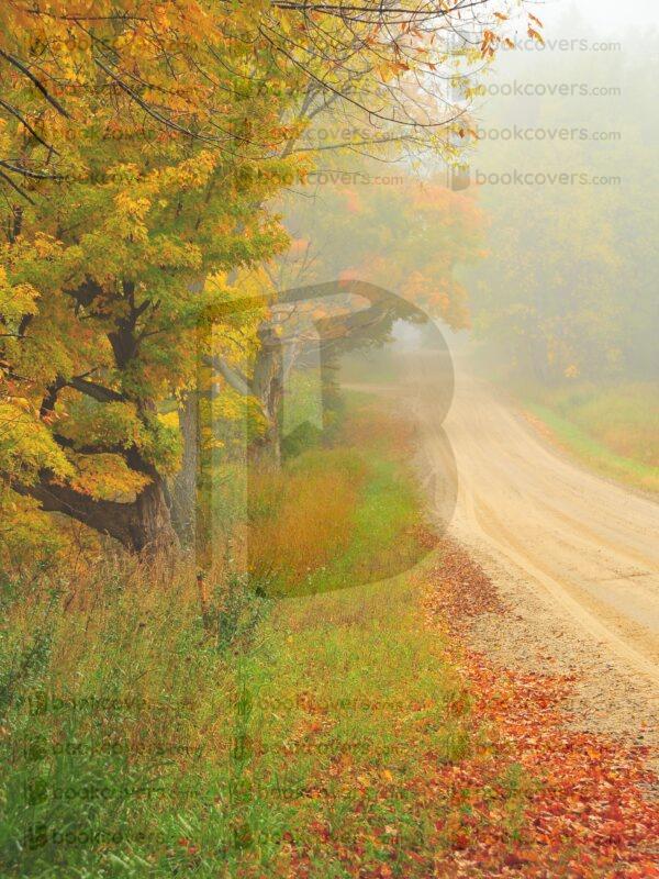 terrigostolaphotography_26161383