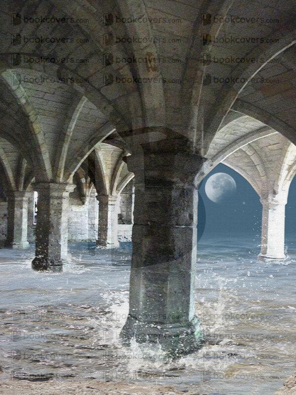 snowmoondesigns_26162072