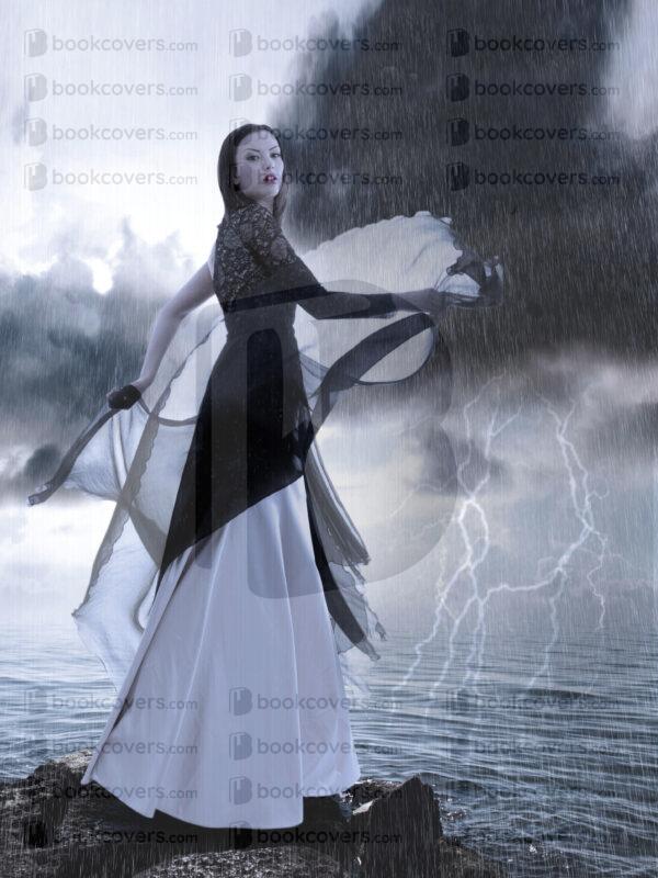 snowmoondesigns_26162331