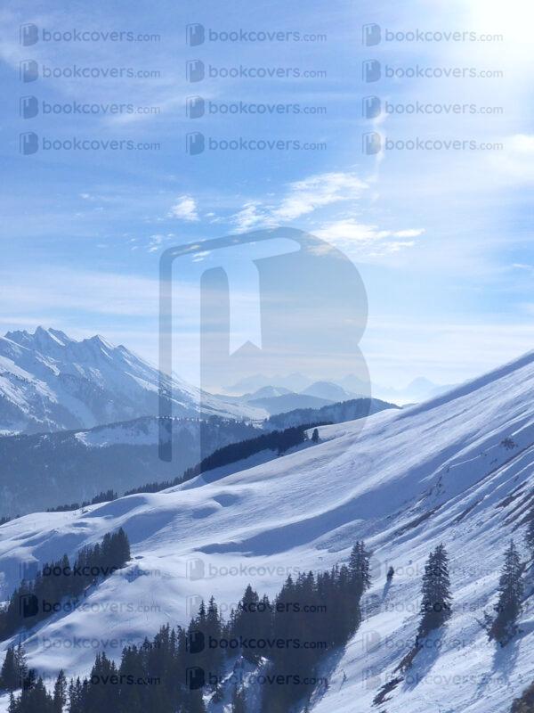 snowmoondesigns_26162471